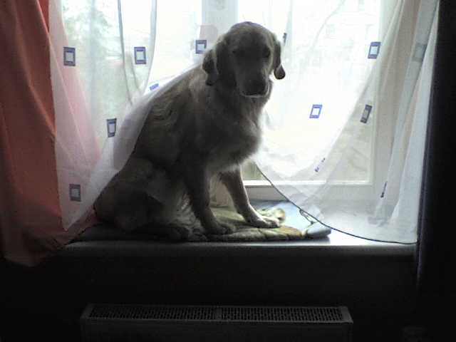 DSC00779.JPG