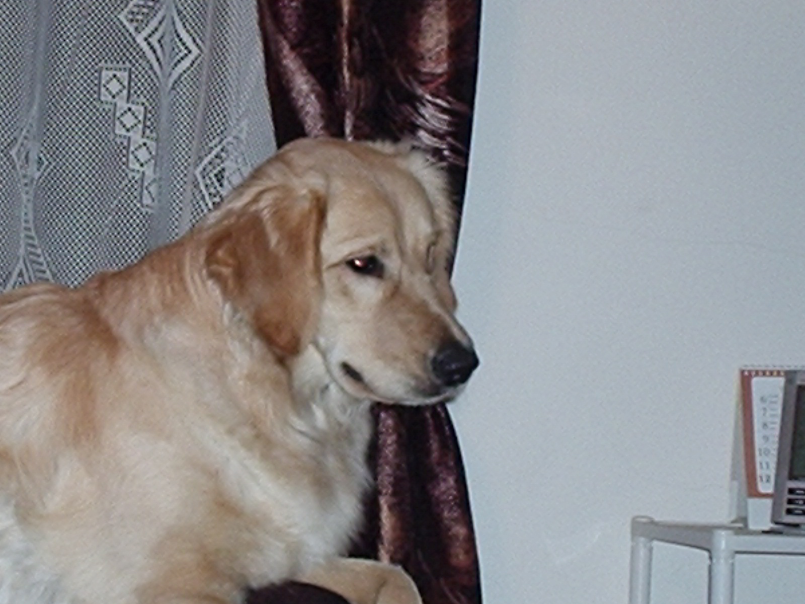 P1050039.JPG