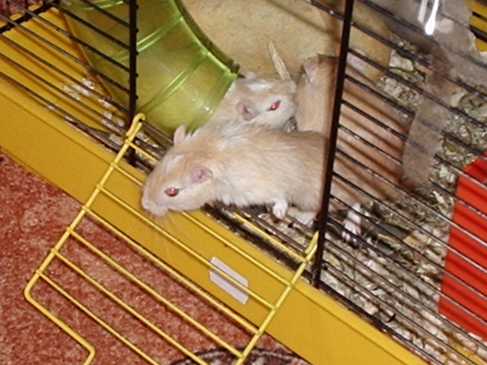 P1040030.JPG